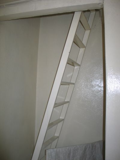 ladder to roof 1